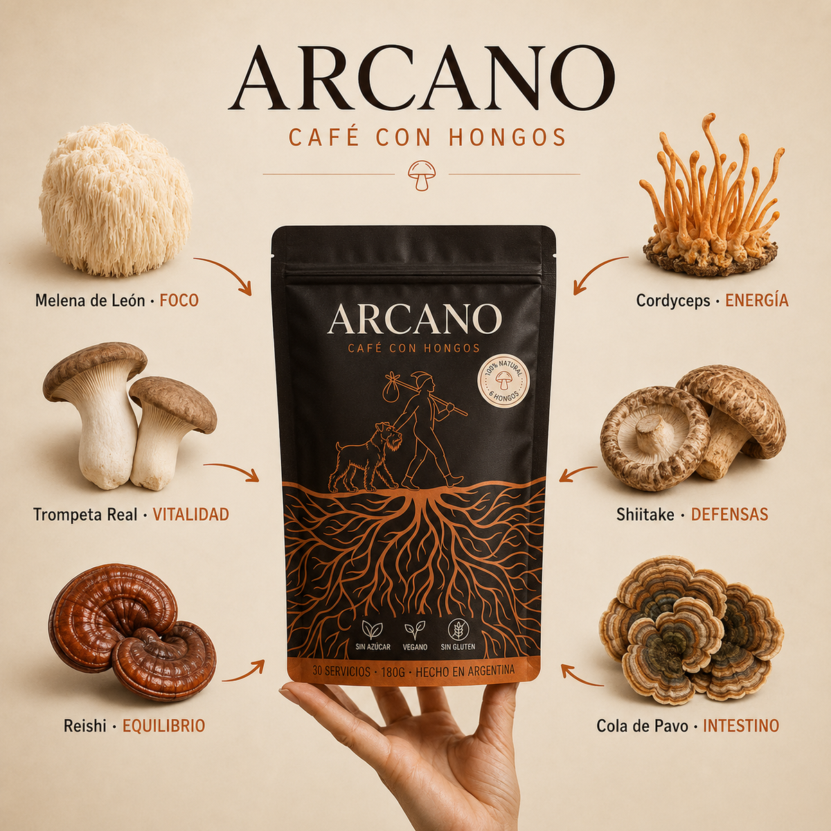 ARCANO®  Cafe para reducir hinchazón, mejor digestión y alcanzar energía pareja